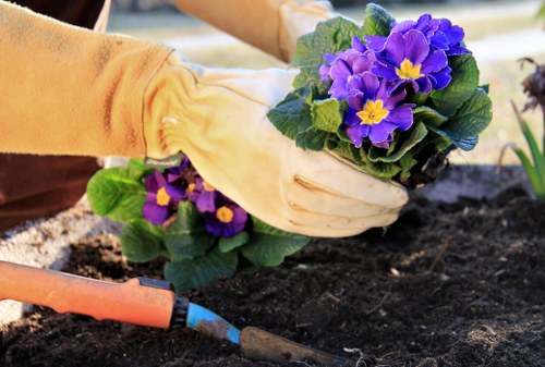 Screen reader device next to a laptop displaying gardening service details