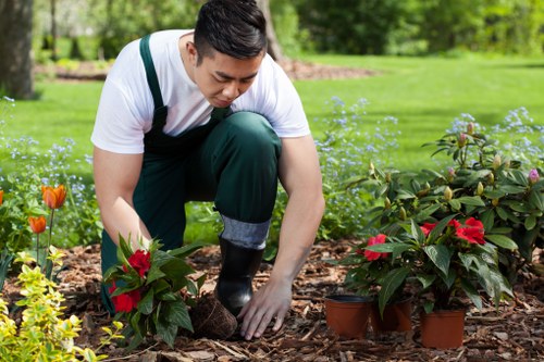 Inspector examining a landscaped garden during investigation
