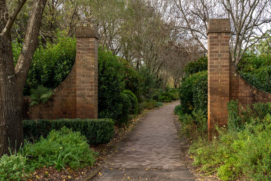 A narrow, winding garden pathway made of interlocking bricks, flanked by lush green bushes and shrubs, leads through an inviting outdoor space. On both sides of the pathway, mature trees with textured